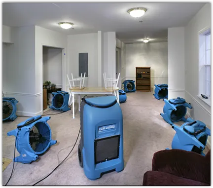 Water Damage Restoration services in Millington, TN