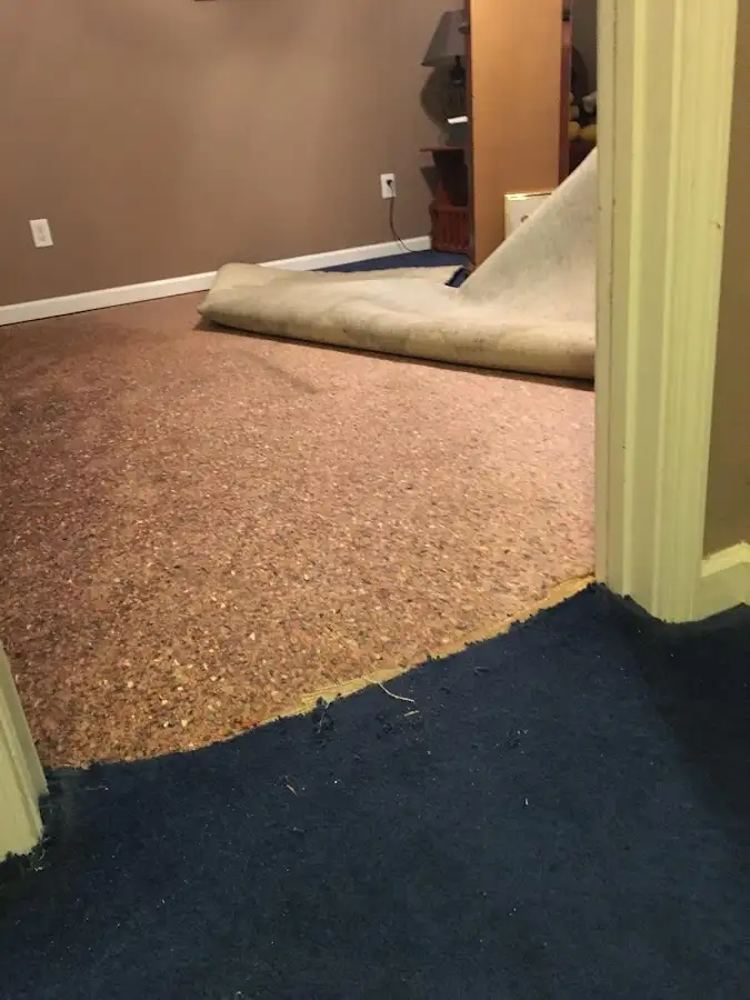 Carpet pad removal revealing water damage during Drying & Dehumidification in Millington
