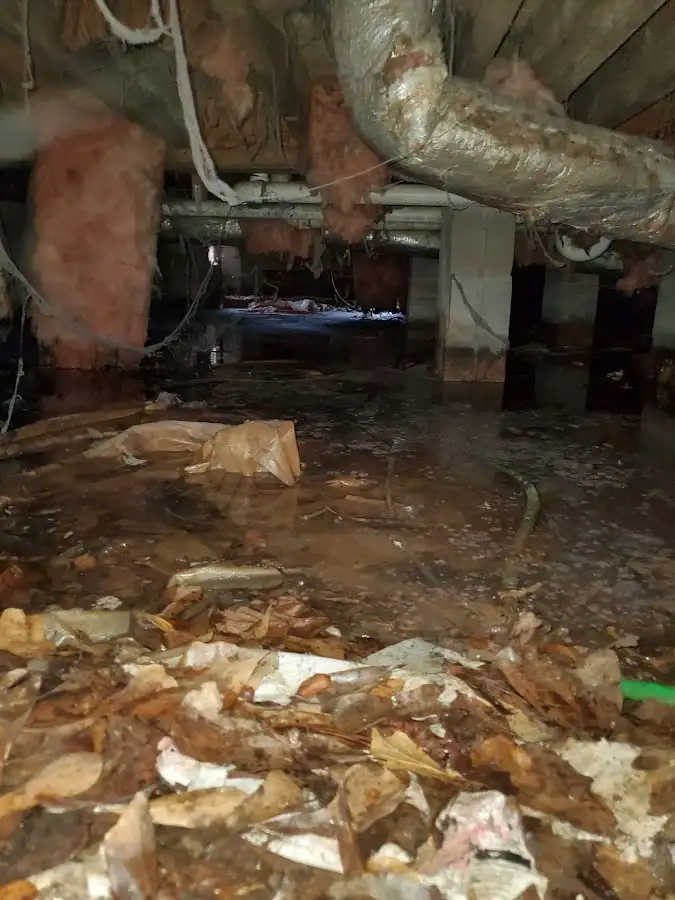 Crawl space flood assessment for Commercial Water Damage Restoration in Millington
