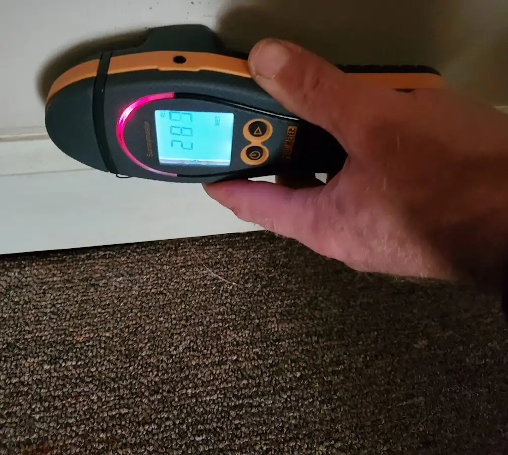 Moisture detection at baseboard during Burst Pipe Cleanup in Millington